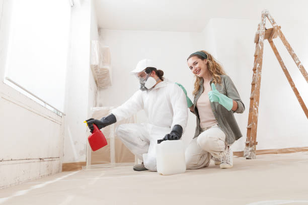 Best Crawl Space Mold Remediation  in Quincy, MA